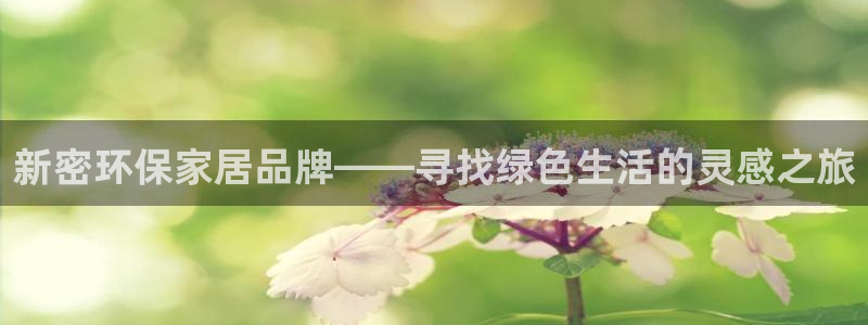 沐鸣2平台可以提款吗