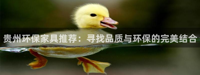 沐鸣2官网娱乐