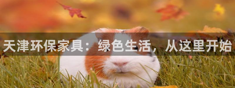 沐鸣2平台几年了：天津环保家具：绿色生活，从这里开始