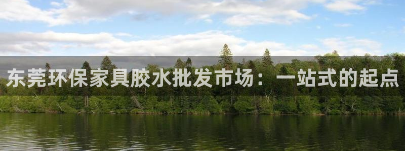 沐鸣2平台服务中心电话号码：东莞环保家具胶水批发市场：一站式