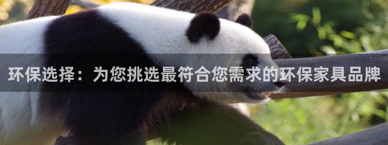 沐鸣2平台登陆地址：环保选择：为您挑选最符合您需求的环保家具