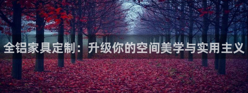 沐鸣2平台注册会员：全铝家具定制：升级你的空间美学与实用主义