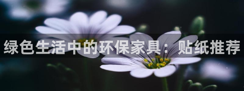 沐鸣2注册主管：绿色生活中的环保家具：贴纸推荐