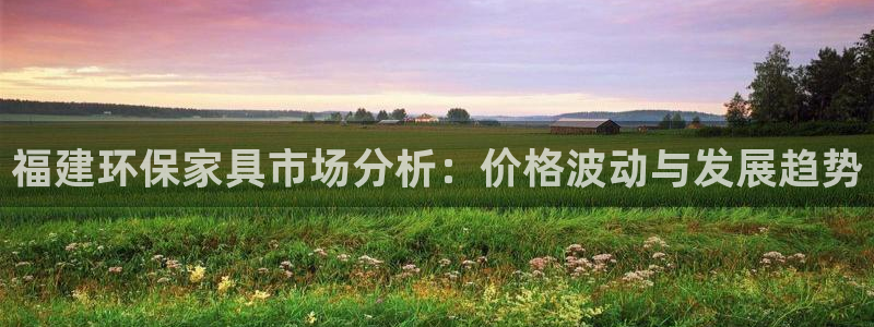 沐鸣2平台官方网站下载：福建环保家具市场分析：价格波动与发展