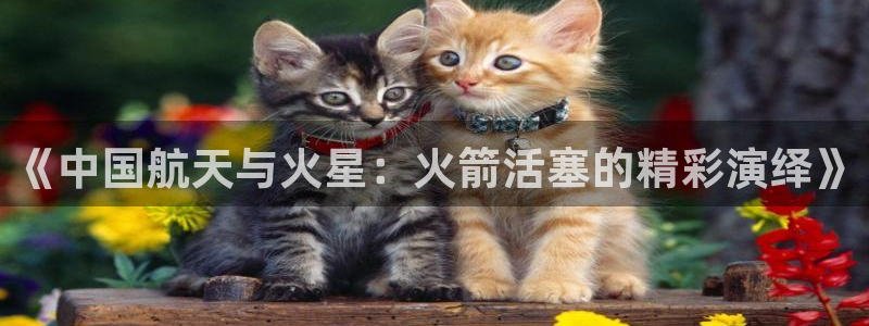 24直播体育免费直播app：《中国航天与火星：火箭活塞的精彩演绎》