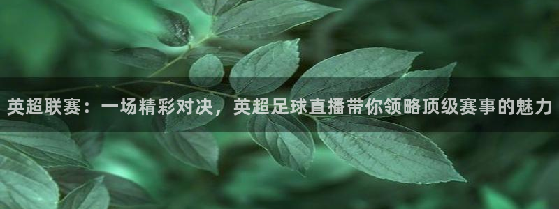 24直播网篮球：英超联赛：一场精彩对决，英超足球直播带你领略顶级赛事的魅力