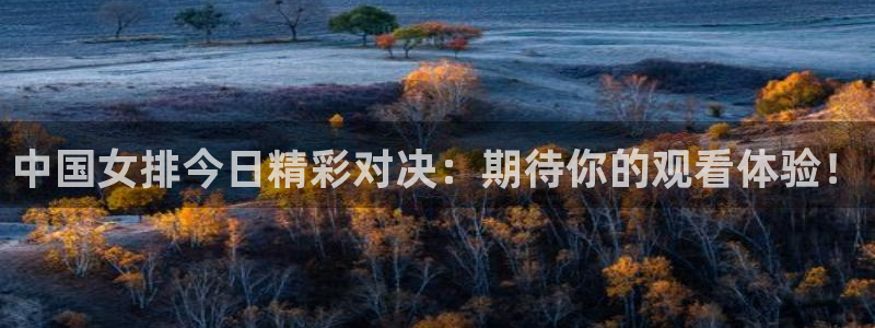 24直播下载：中国女排今日精彩对决：期待你的观看体验！